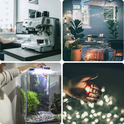 'Café Kitchen with Espresso Machine', 'Cosy Courtyard with Plants and Lights', 'Aquarium with Green Plants', 'Hand Holding Glowing Light in Bokeh Atmosphere'