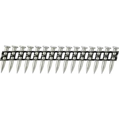 'Row of nails connected by plastic strips, for a pneumatic nail gun.'