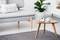 A small table radio sits on a wooden table next to a cup in a modernly furnished living room with a sofa and a plant.