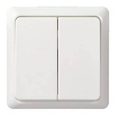 A double light switch in a white plastic cover.