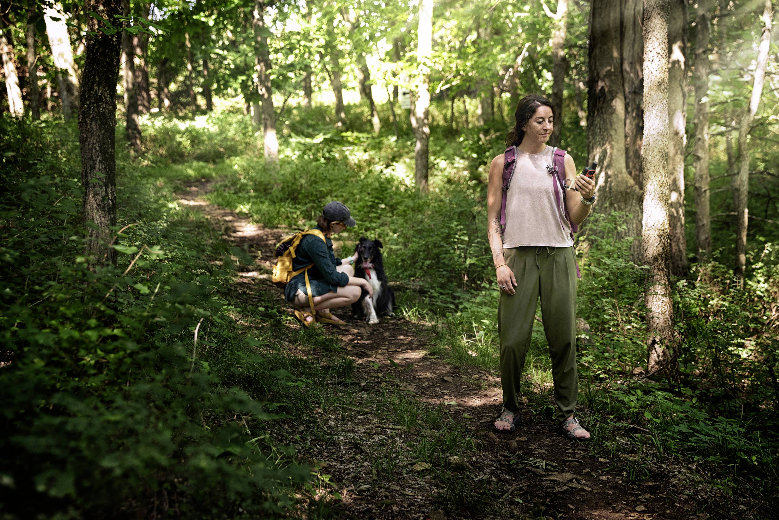 A woman is standing on a woodland path looking at her mobile phone, while two people in the background are occupied with a dog.