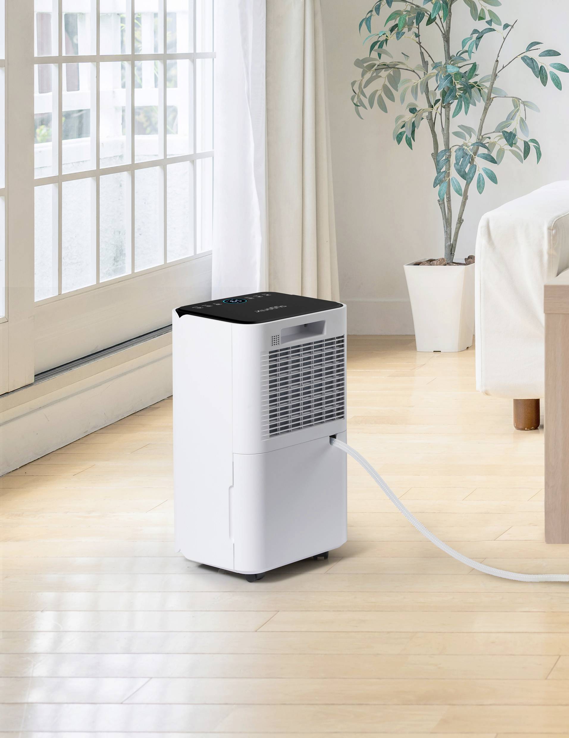 A dehumidifier stands on a wooden floor in a bright room with large windows. A hose connects the device to a water drainage point.