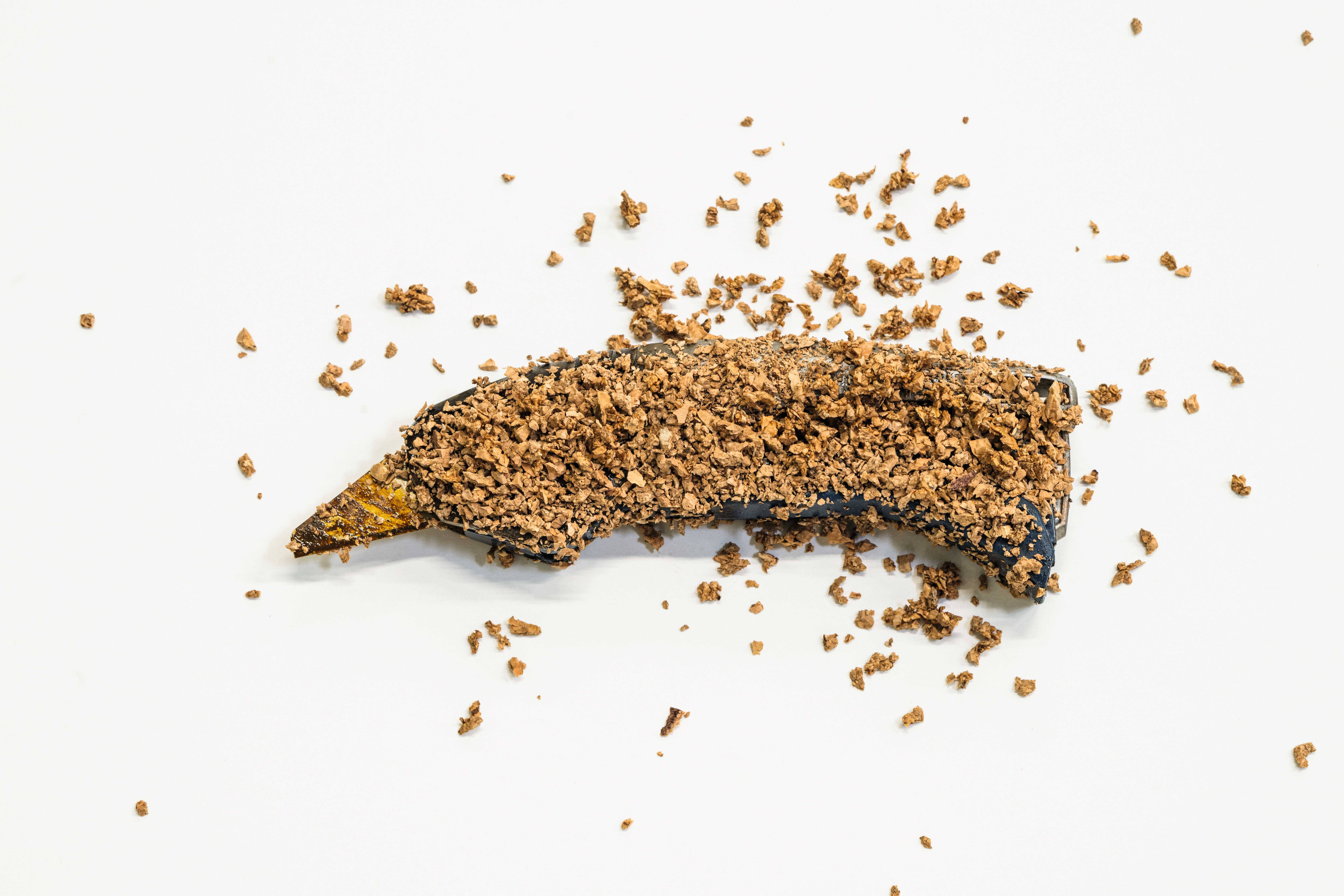 'A banana covered with chocolate chips, on a white background. The chocolate chips are scattered over the banana.'