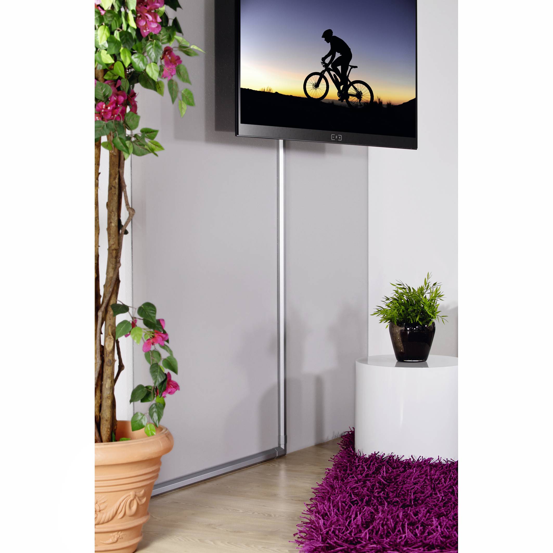 A cyclist rides on a screen at sunset. A potted plant stands to the left, next to a purple rug.