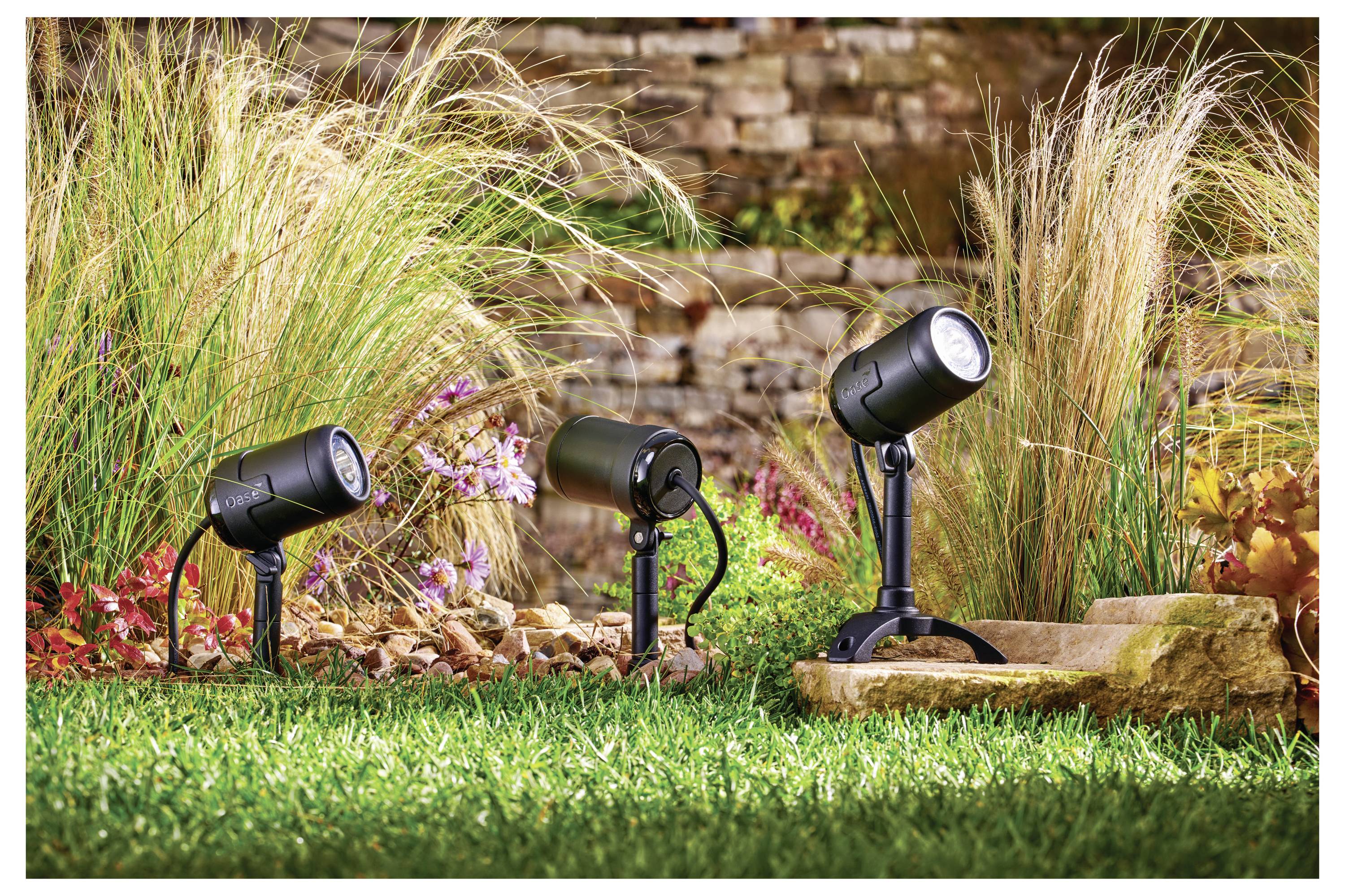 Three black outdoor spotlights illuminate a garden with long grasses and a stone wall in the background.