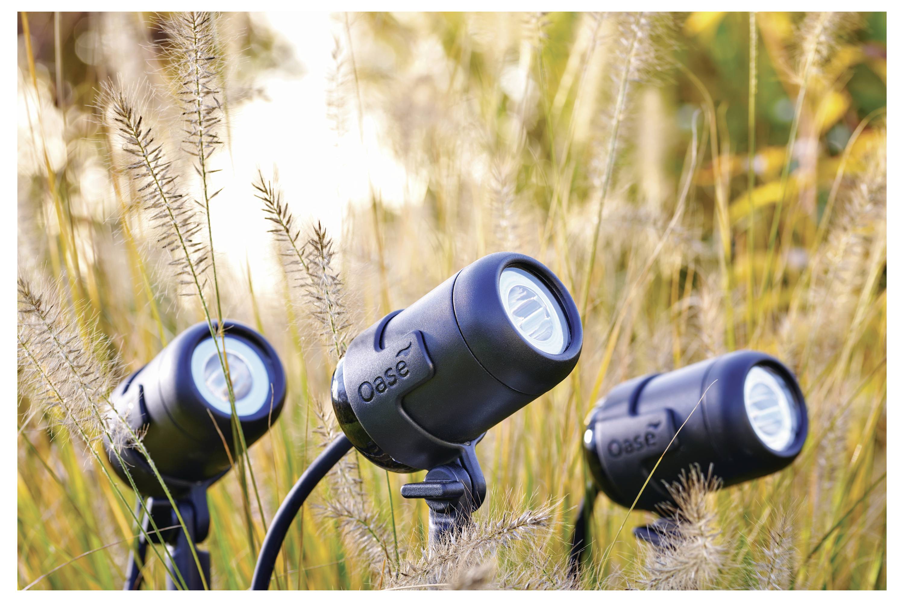 Three outdoor spotlights are arranged in tall grass during daytime, highlighting their positioning and integration with the natural environment.