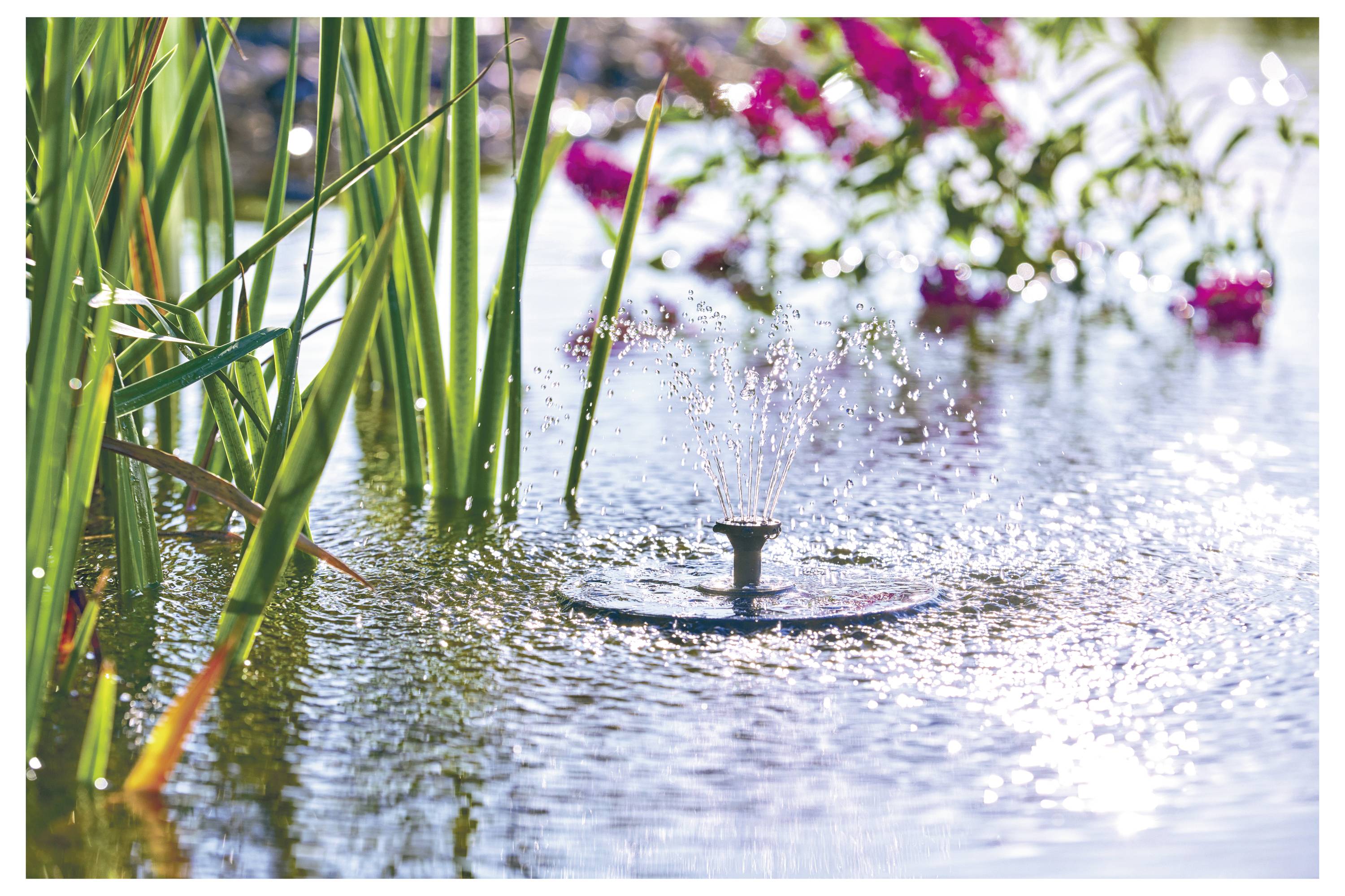 A small fountain sprays water in a pond surrounded by tall green plants and vibrant pink flowers, creating a serene garden scene.