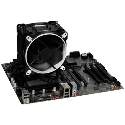   Renkforce  PC tuning kit  Intel® Core™ i5  14600K  5.3 GHz  16 GB  DDR5 RAM      ATX