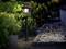 Garden lamp illuminates in the twilight, surrounded by plants and a stone path leading along the right side.