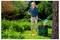 A person in casual clothing, using a scooping tool to collect apples on a grassy lawn, surrounded by lush greenery and trees.