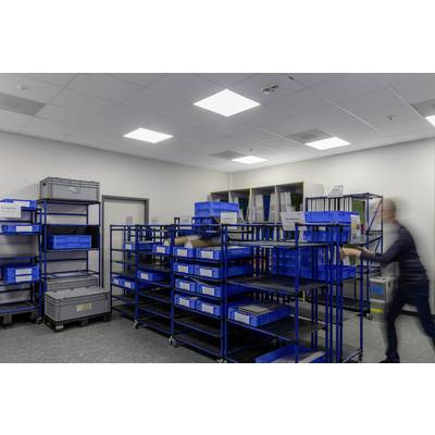 A blurry figure assembles shelves with blue plastic boxes in a storage room, surrounded by additional shelving and crates.