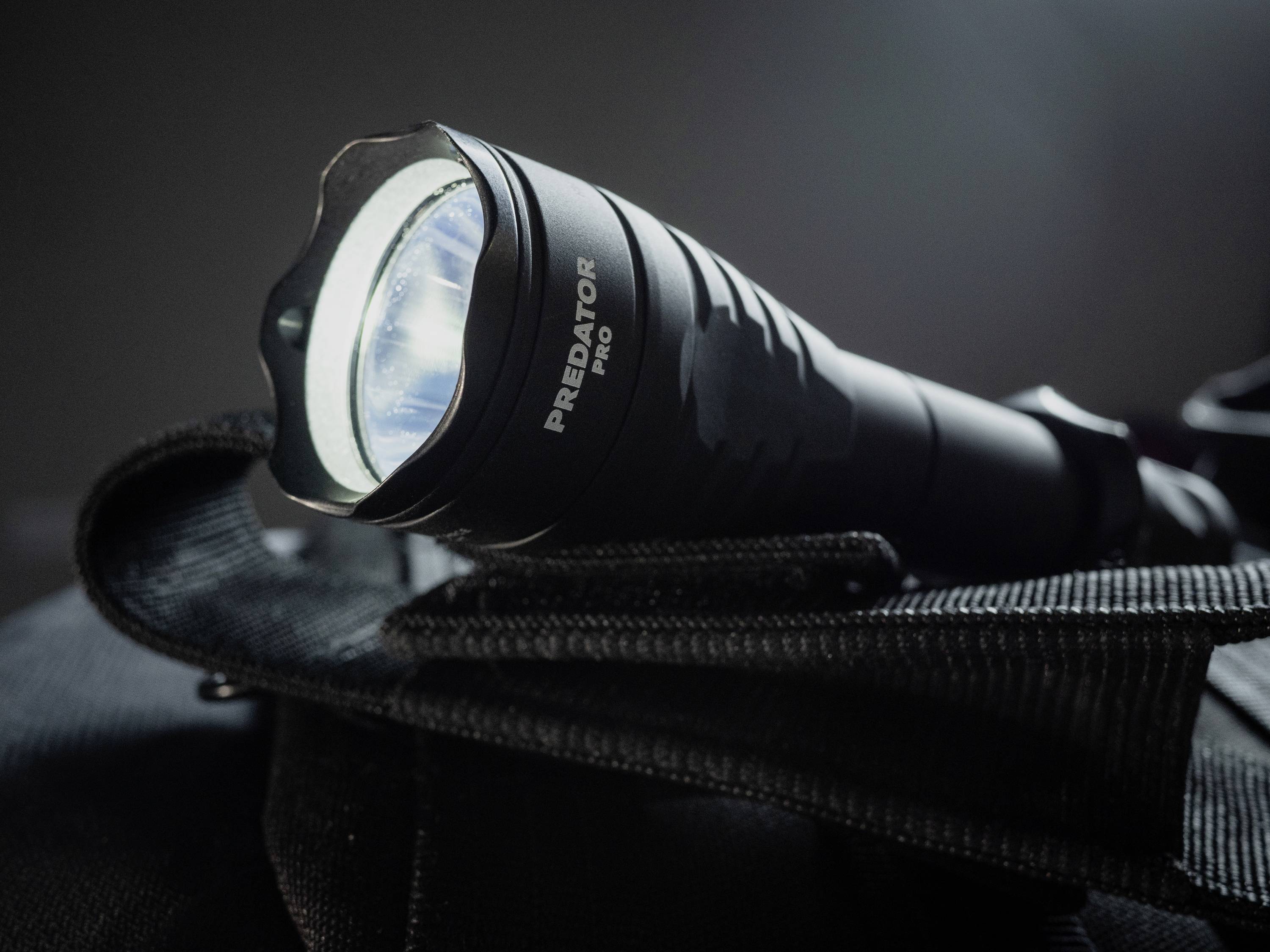 A black torch, leant and switched on, with the beam of light clearly visible.