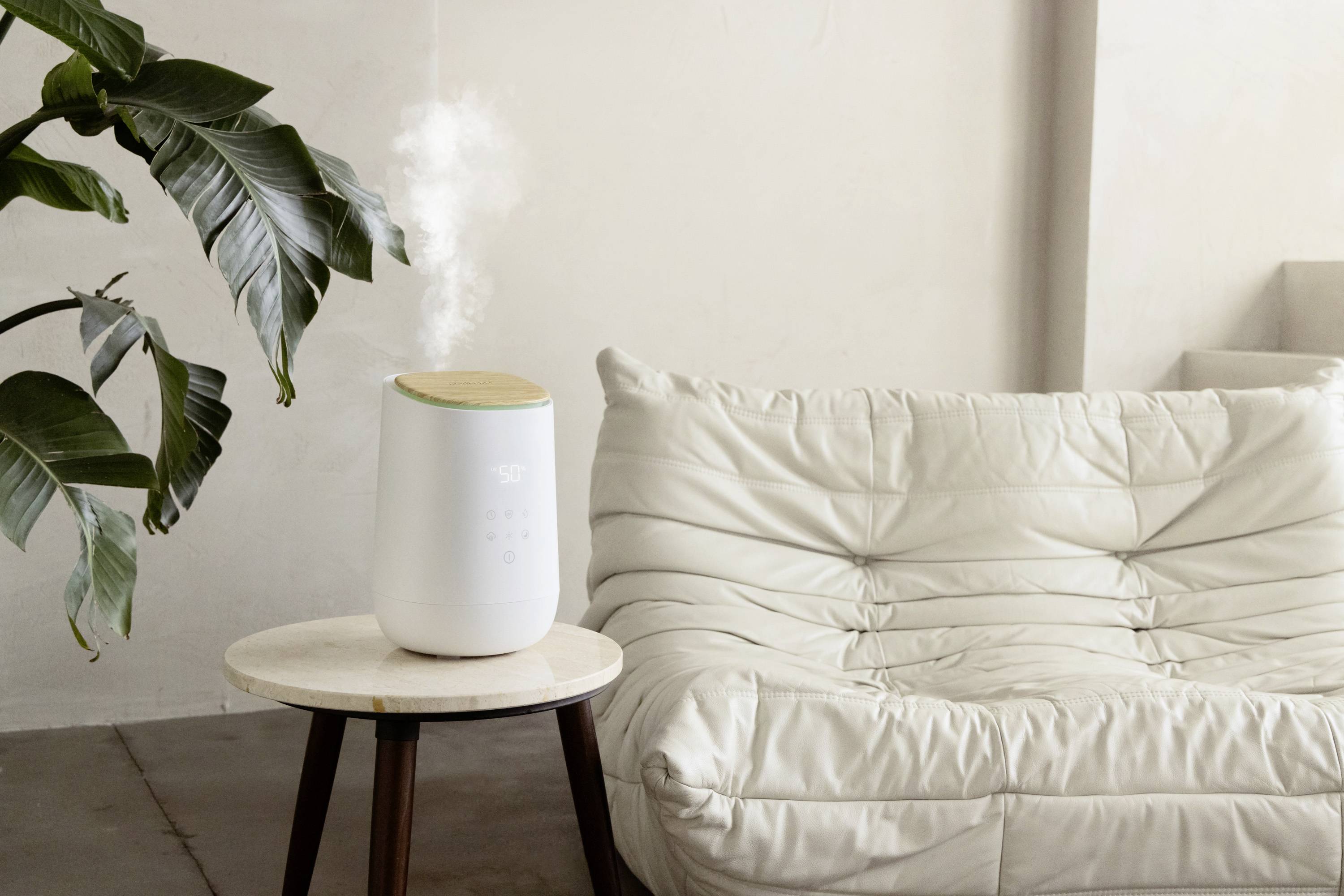 A humidifier stands on a small table next to a cream-coloured sofa. A leaf from a large plant is visible on the left side of the image.