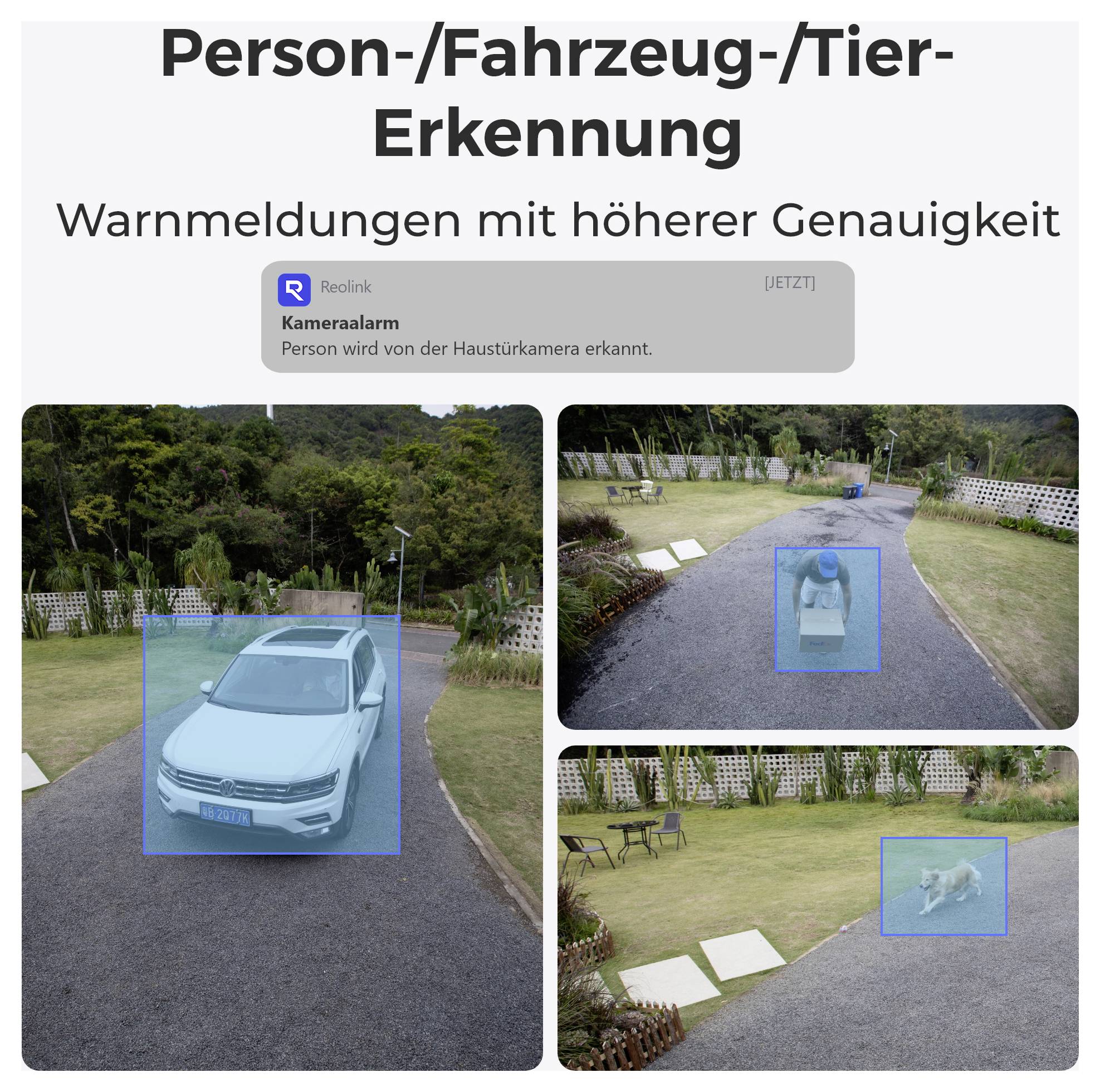 A security camera interface showing person, vehicle, and animal detection on a driveway and garden with labeled blue boxes.