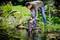 A man kneels at the edge of a pond and operates a water pump. The surroundings are green with plants and moss on the stones.