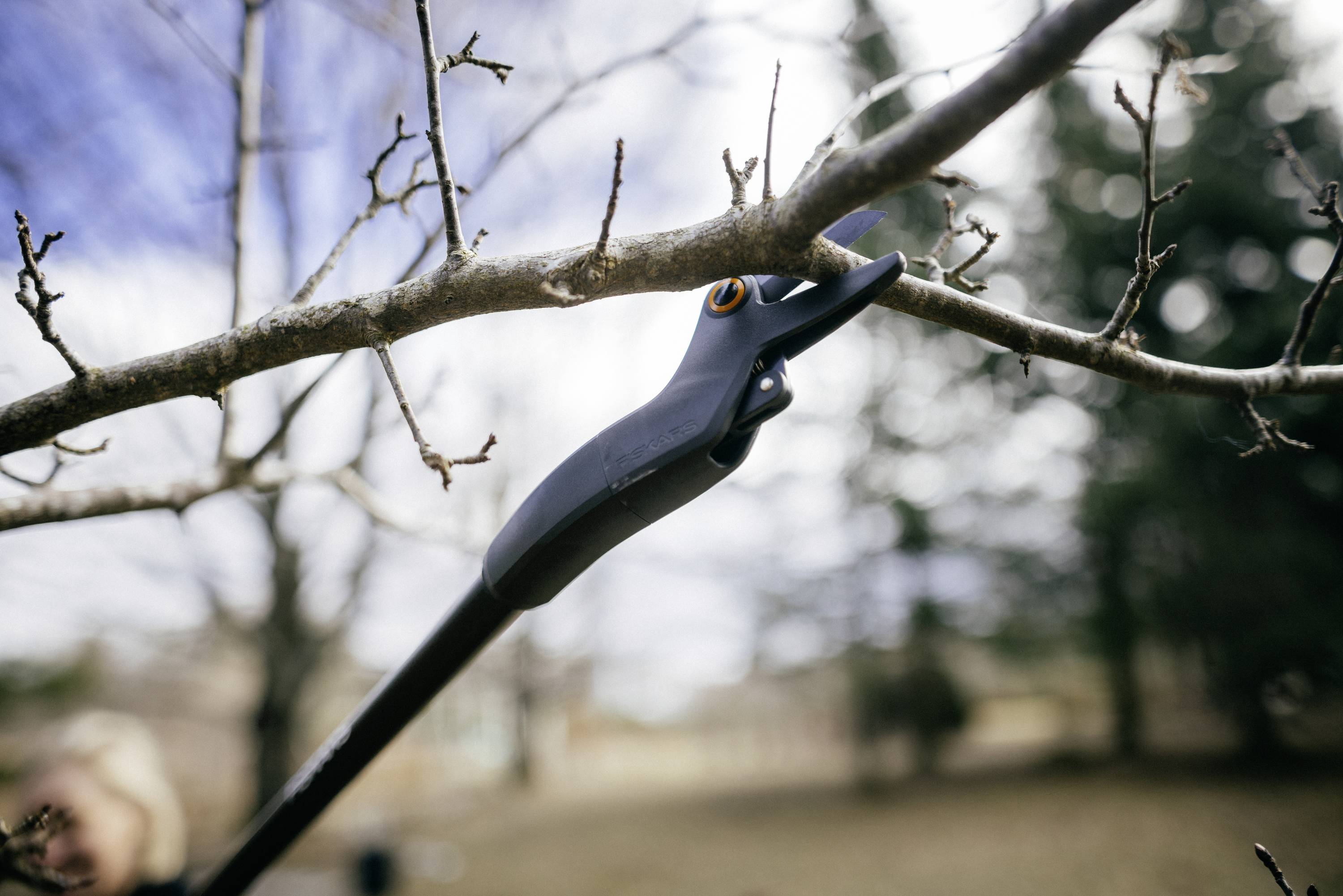 A tree surgeon trims a branch in the garden. The background shows blurred greenery and sky, with the focus on the tool.