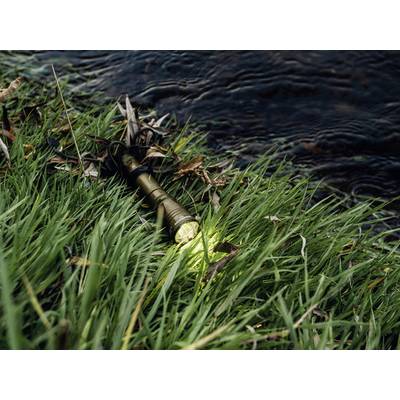 A torch glows in the grass by the riverside, surrounded by foliage.