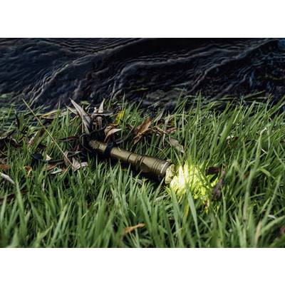 A torch lies switched on in the grass beside a body of water, its light illuminating the surrounding blades of grass and leaves.