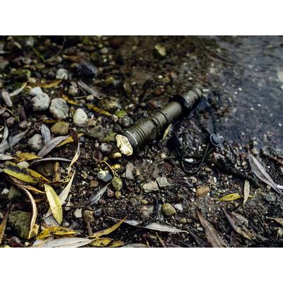 Torch lies on the bank of a stream in the woods, surrounded by stones and wet leaves. The lamp continues to shine, despite the dampness.