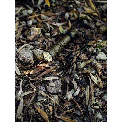 Torch rests on forest floor, surrounded by leaves and stones, shining to the right.