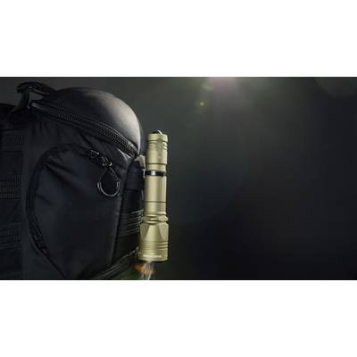 A golden torch is attached to a black rucksack. It is illuminated by a beam of light coming from above.