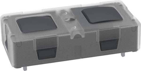 RAFI 1.12.000.501/0000 KN 19 Pushbutton 250 V 6 A latch (L x W x H) 37.8 x 18.8 x 9.7 mm 1 pc(s)