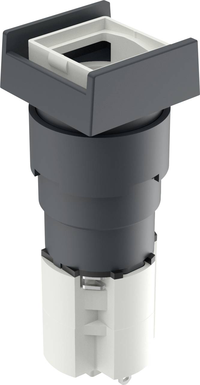 RAFI 1.15.108.251/0000 LUMOTAST 75 Illuminated push button 230 V 4 A momentary (L x W x H) 18 x 18 x 49 mm IP40 1 pc(s)-0
