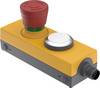 RAFI 1.22.114.392/0200 DT091 Pushbutton 24 V 0.5 A momentary (L x W x H) 123.2 x 40 x 60.2 mm 1 pc(s)