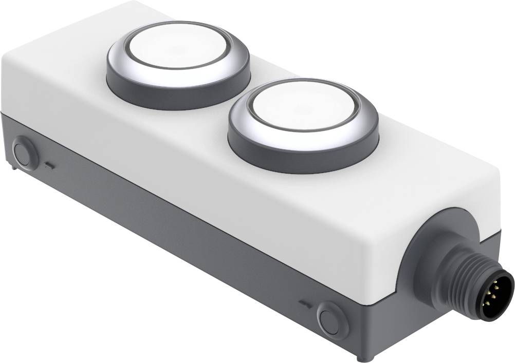RAFI 1.22.392.392/2200 LDT091 Illuminated push button 24 V 0.5 A momentary (L x W x H) 123.2 x 40 x 35.6 mm 1 pc(s)-0