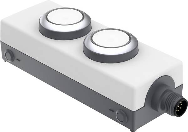 RAFI 1.22.392.392/2200 LDT091 Illuminated push button 24 V 0.5 A momentary (L x W x H) 123.2 x 40 x 35.6 mm 1 pc(s)