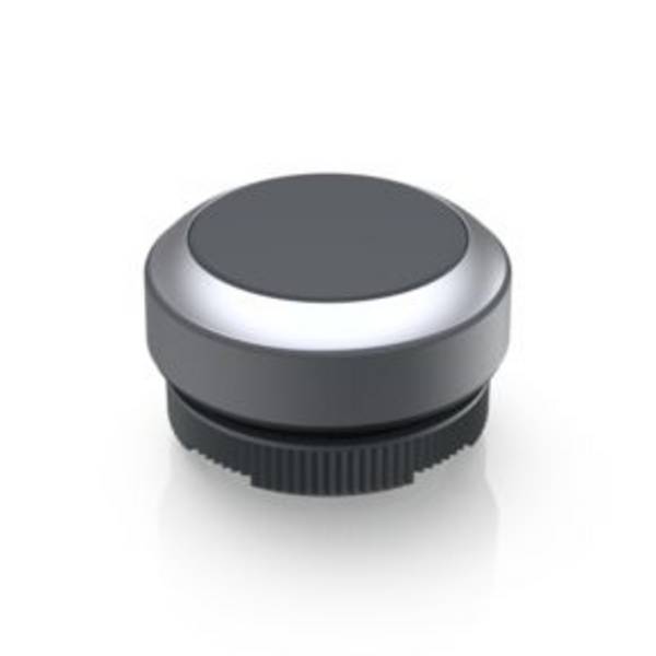RAFI 1.30.270.021/0700 RAFIX 22 FS Pushbutton momentary (L x W x H) 29.8 x 29.8 x 18.5 mm 1 pc(s)