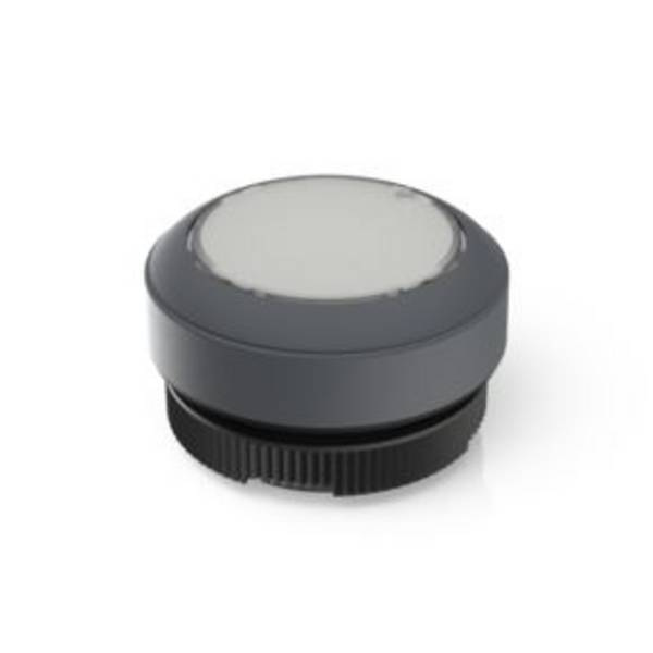 RAFI 1.30.270.901/2207 RAFIX 22 FS Illuminated push button momentary (L x W x H) 29.8 x 29.8 x 18.5 mm 1 pc(s)