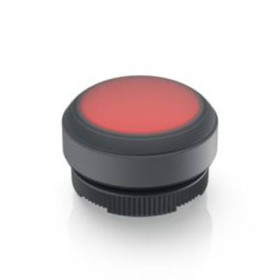 Red button in cylindrical form with black housing, illuminated, on white background.