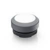 RAFI 1.30.270.001/2208 RAFIX 22 FS Illuminated push button momentary (L x W x H) 29.8 x 29.8 x 18.5 mm 1 pc(s)