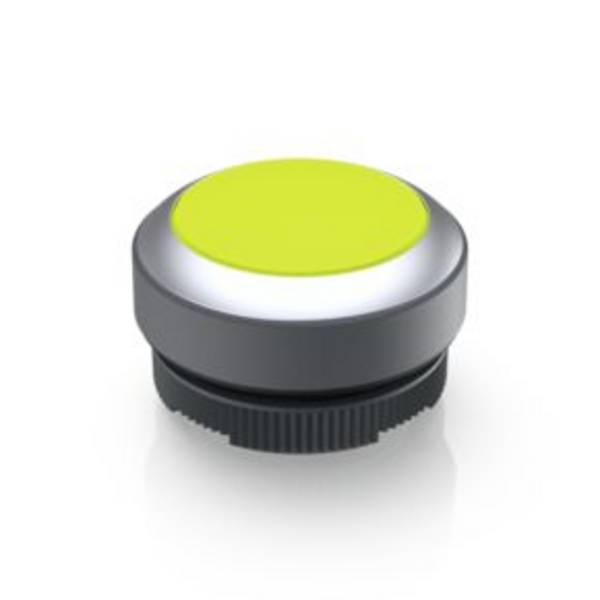 RAFI 1.30.270.021/2400 RAFIX 22 FS Illuminated push button momentary (L x W x H) 29.8 x 29.8 x 18.5 mm 1 pc(s)