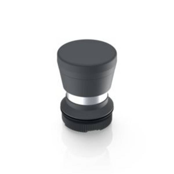 RAFI 1.30.276.701/0000 RAFIX 22 FS Mushroom head pushbutton momentary (L x W x H) 29.8 x 29.8 x 42.1 mm 1 pc(s)