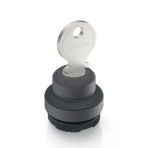 RAFI 1.30.275.101/0100 RAFIX 22 FS+ Key switch 2 x 40 ° 1 pc(s)