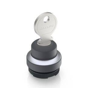 'Key on a circular lock mount.'