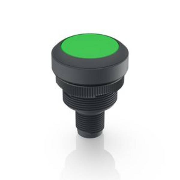 RAFI 1.10.071.001/0551 Indicator light Green 1 pc(s)