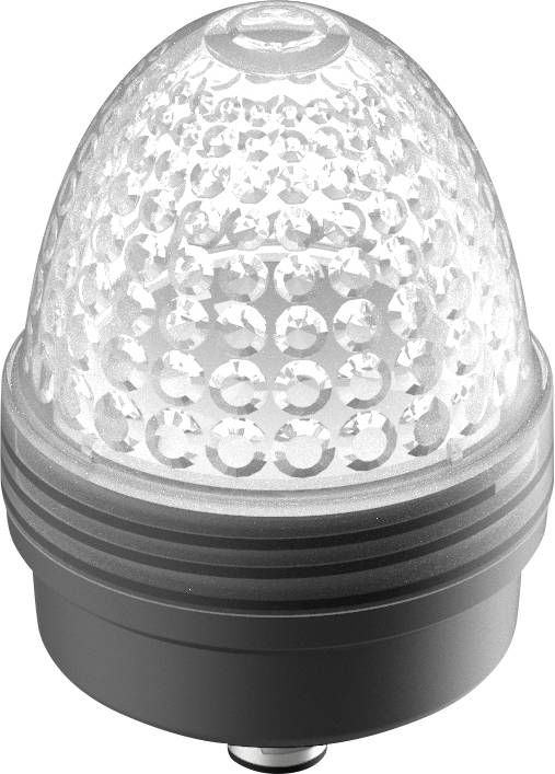 RAFI 1.69.010.005/0000 Indicator light Colourless 1 pc(s)-0