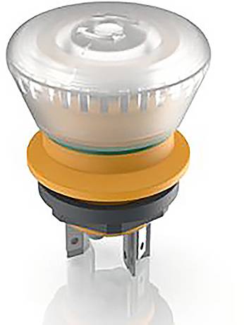 RAFI LUMOTAST 16 Kill switch illuminable 2 breakers 1 pc(s)
