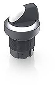 RAFI 1.30.242.502/0200 RAFIX 22 QR Illuminated selector switch 1 x 40 ° 1 pc(s)