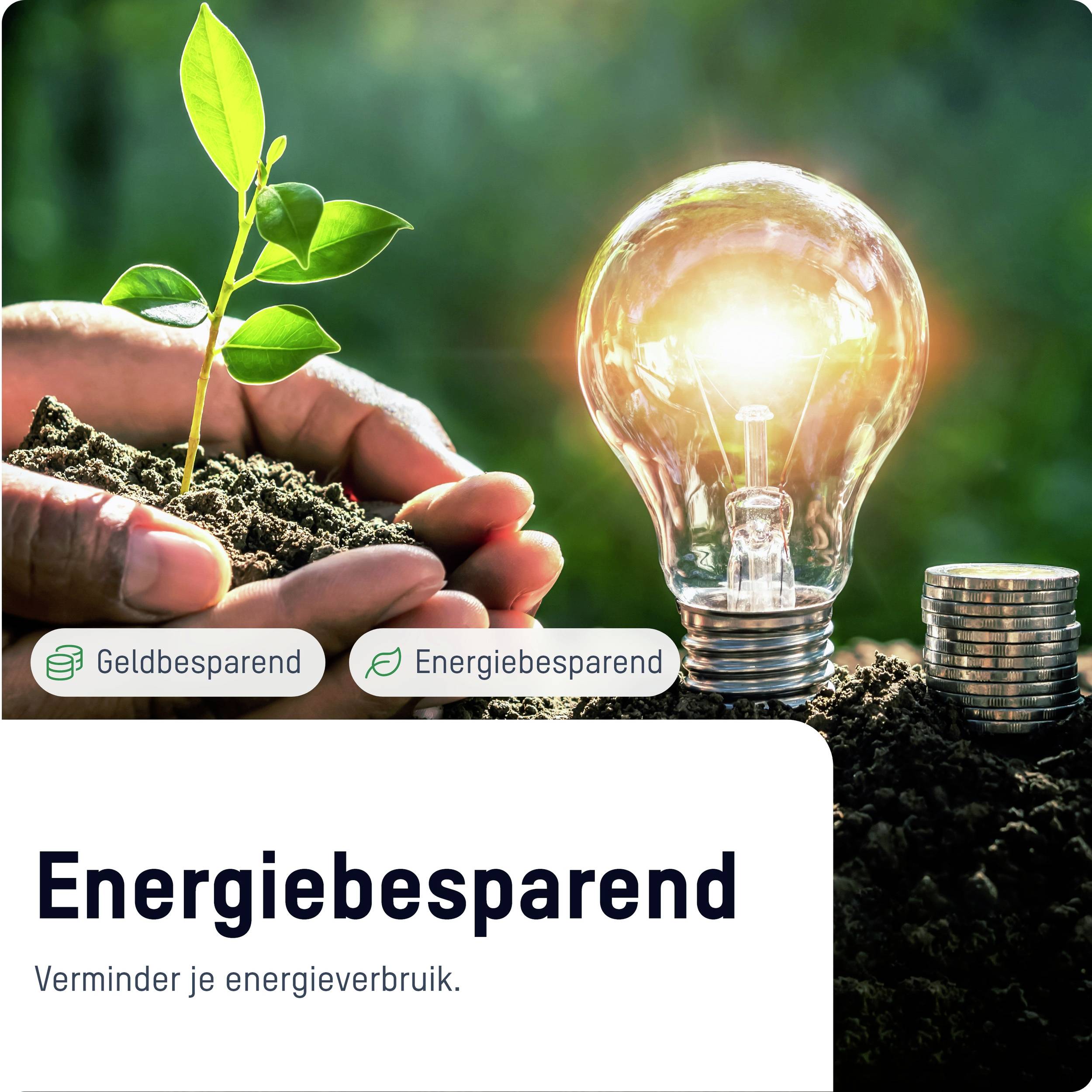 A hand plants a small green seedling next to a glowing light bulb and stacks of coins. Text: 'Energy-Saving - Reduce Your Energy Consumption.'