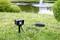 A watering sensor is installed on a lawn in front of a pond. A fountain in the background is spraying water.