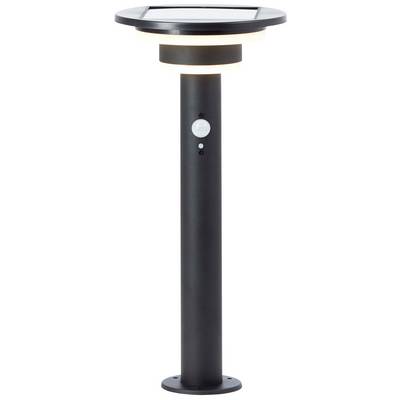 A black solar pathway light with a sensor, suitable for outdoor use. It features a round solar panel on top and emits warm light.