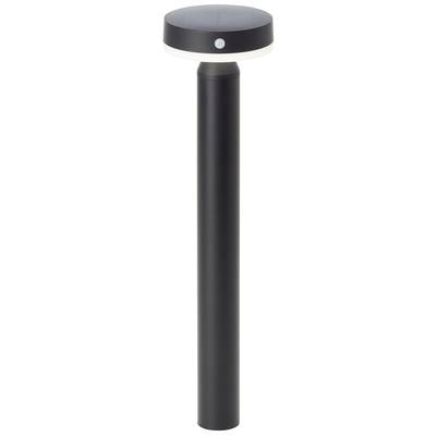 Black, cylindrical solar light with a round, flat head, suitable for outdoor use. Used for pathway illumination.