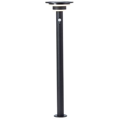 Black, slender outdoor light with a round lampshade and sensor, standing on a round base. Ideal for garden paths.