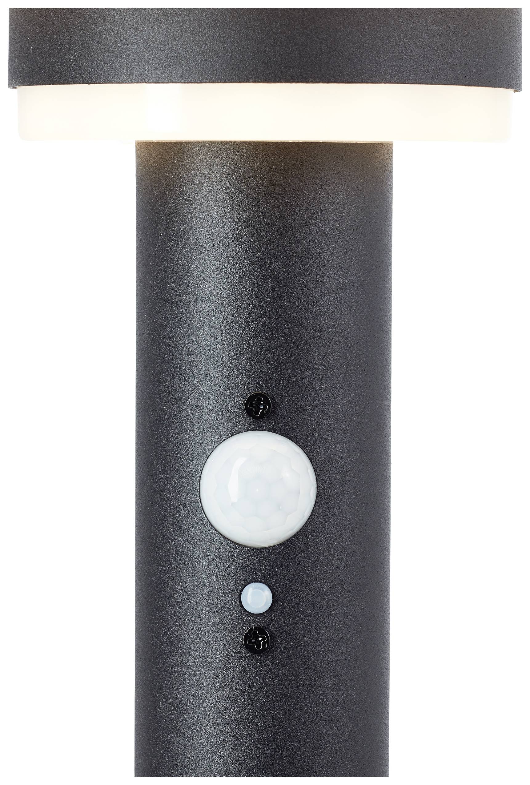 Black wall light with a round lamp head and white sensor in the middle of the shaft, suitable for outdoor areas.