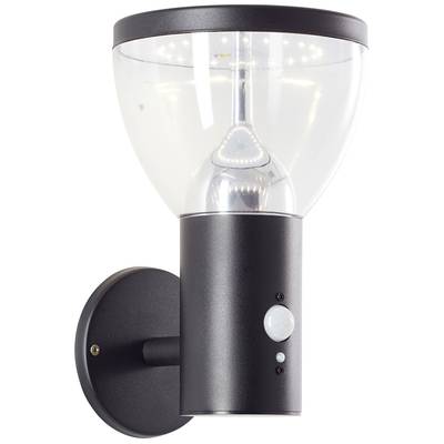 Brilliant Tulip G40410/06 Solar outdoor wall light ( + motion detector) LED (monochrome) 3 W Black