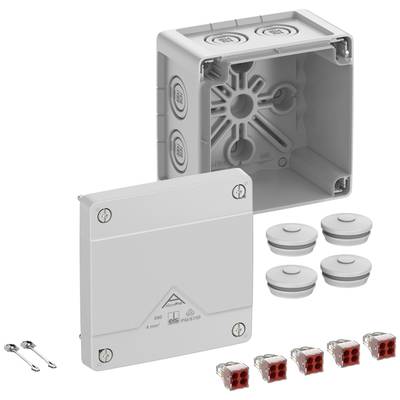Housing for electrical connections, opened. Contains terminals and seals. Screws for securing the lid placed alongside.